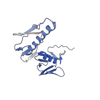 26633_7unu_G_v1-1
Pseudomonas aeruginosa 70S ribosome initiation complex bound to compact IF2-GDP (composite structure I-B)