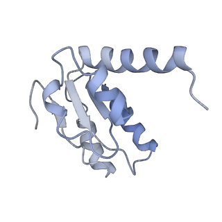 26633_7unu_I_v1-0
Pseudomonas aeruginosa 70S ribosome initiation complex bound to compact IF2-GDP (composite structure I-B)