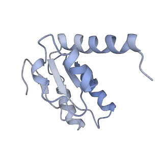 26633_7unu_I_v1-1
Pseudomonas aeruginosa 70S ribosome initiation complex bound to compact IF2-GDP (composite structure I-B)