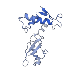 26633_7unu_J_v1-0
Pseudomonas aeruginosa 70S ribosome initiation complex bound to compact IF2-GDP (composite structure I-B)