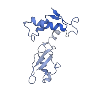 26633_7unu_J_v1-1
Pseudomonas aeruginosa 70S ribosome initiation complex bound to compact IF2-GDP (composite structure I-B)