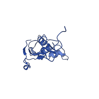 26633_7unu_L_v1-0
Pseudomonas aeruginosa 70S ribosome initiation complex bound to compact IF2-GDP (composite structure I-B)