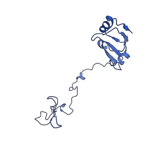 26633_7unu_N_v1-1
Pseudomonas aeruginosa 70S ribosome initiation complex bound to compact IF2-GDP (composite structure I-B)