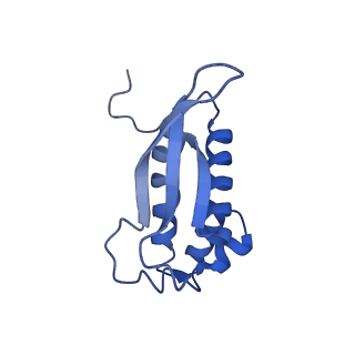 26633_7unu_P_v1-0
Pseudomonas aeruginosa 70S ribosome initiation complex bound to compact IF2-GDP (composite structure I-B)