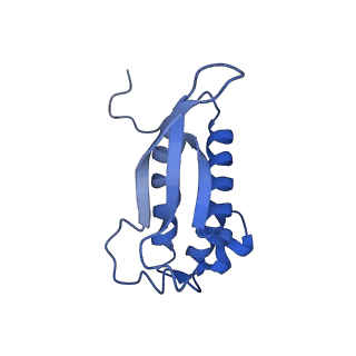 26633_7unu_P_v1-1
Pseudomonas aeruginosa 70S ribosome initiation complex bound to compact IF2-GDP (composite structure I-B)