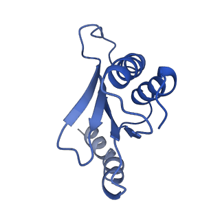 26633_7unu_Q_v1-1
Pseudomonas aeruginosa 70S ribosome initiation complex bound to compact IF2-GDP (composite structure I-B)