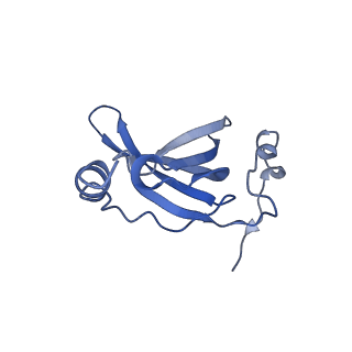 26633_7unu_R_v1-0
Pseudomonas aeruginosa 70S ribosome initiation complex bound to compact IF2-GDP (composite structure I-B)