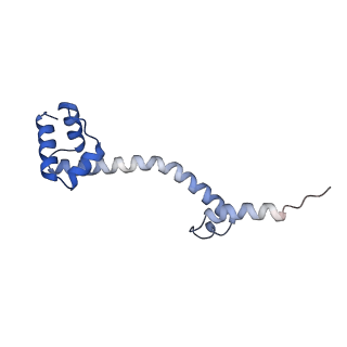 26633_7unu_S_v1-0
Pseudomonas aeruginosa 70S ribosome initiation complex bound to compact IF2-GDP (composite structure I-B)