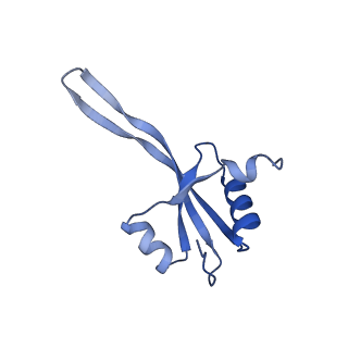 26633_7unu_V_v1-0
Pseudomonas aeruginosa 70S ribosome initiation complex bound to compact IF2-GDP (composite structure I-B)