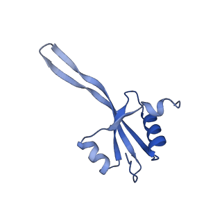 26633_7unu_V_v1-1
Pseudomonas aeruginosa 70S ribosome initiation complex bound to compact IF2-GDP (composite structure I-B)