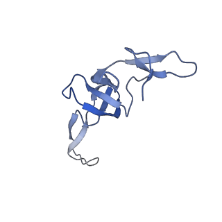 26633_7unu_W_v1-0
Pseudomonas aeruginosa 70S ribosome initiation complex bound to compact IF2-GDP (composite structure I-B)