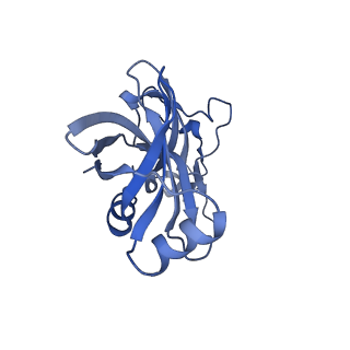 26633_7unu_X_v1-0
Pseudomonas aeruginosa 70S ribosome initiation complex bound to compact IF2-GDP (composite structure I-B)