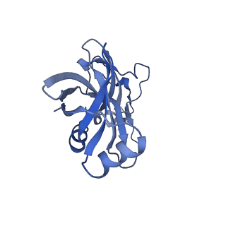 26633_7unu_X_v1-1
Pseudomonas aeruginosa 70S ribosome initiation complex bound to compact IF2-GDP (composite structure I-B)