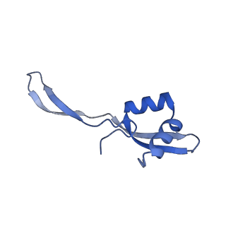 26633_7unu_Z_v1-1
Pseudomonas aeruginosa 70S ribosome initiation complex bound to compact IF2-GDP (composite structure I-B)