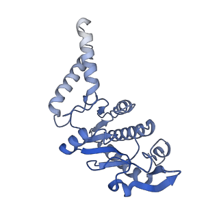 26633_7unu_b_v1-0
Pseudomonas aeruginosa 70S ribosome initiation complex bound to compact IF2-GDP (composite structure I-B)