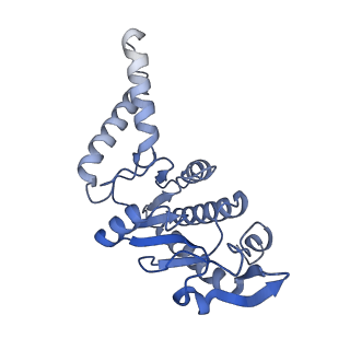 26633_7unu_b_v1-1
Pseudomonas aeruginosa 70S ribosome initiation complex bound to compact IF2-GDP (composite structure I-B)