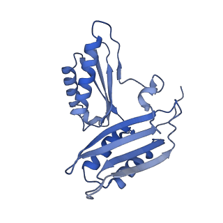 26633_7unu_c_v1-0
Pseudomonas aeruginosa 70S ribosome initiation complex bound to compact IF2-GDP (composite structure I-B)
