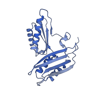 26633_7unu_c_v1-1
Pseudomonas aeruginosa 70S ribosome initiation complex bound to compact IF2-GDP (composite structure I-B)