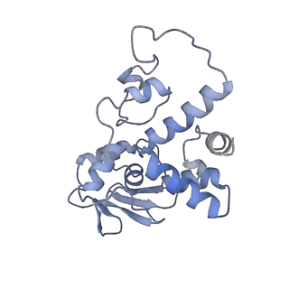 26633_7unu_d_v1-0
Pseudomonas aeruginosa 70S ribosome initiation complex bound to compact IF2-GDP (composite structure I-B)