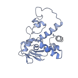 26633_7unu_d_v1-1
Pseudomonas aeruginosa 70S ribosome initiation complex bound to compact IF2-GDP (composite structure I-B)