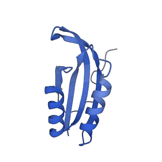 26633_7unu_f_v1-0
Pseudomonas aeruginosa 70S ribosome initiation complex bound to compact IF2-GDP (composite structure I-B)
