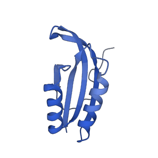 26633_7unu_f_v1-1
Pseudomonas aeruginosa 70S ribosome initiation complex bound to compact IF2-GDP (composite structure I-B)