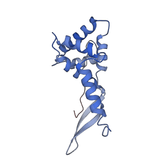 26633_7unu_g_v1-0
Pseudomonas aeruginosa 70S ribosome initiation complex bound to compact IF2-GDP (composite structure I-B)