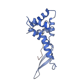 26633_7unu_g_v1-1
Pseudomonas aeruginosa 70S ribosome initiation complex bound to compact IF2-GDP (composite structure I-B)