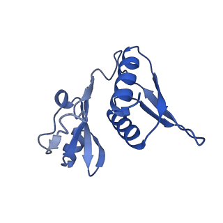 26633_7unu_h_v1-0
Pseudomonas aeruginosa 70S ribosome initiation complex bound to compact IF2-GDP (composite structure I-B)
