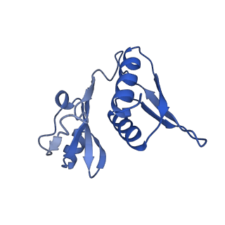 26633_7unu_h_v1-1
Pseudomonas aeruginosa 70S ribosome initiation complex bound to compact IF2-GDP (composite structure I-B)