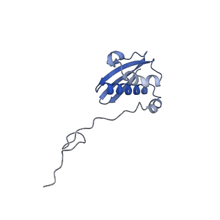 26633_7unu_i_v1-0
Pseudomonas aeruginosa 70S ribosome initiation complex bound to compact IF2-GDP (composite structure I-B)