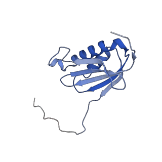 26633_7unu_k_v1-0
Pseudomonas aeruginosa 70S ribosome initiation complex bound to compact IF2-GDP (composite structure I-B)