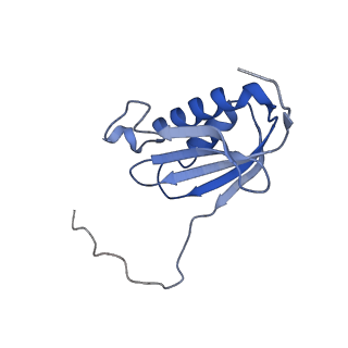 26633_7unu_k_v1-1
Pseudomonas aeruginosa 70S ribosome initiation complex bound to compact IF2-GDP (composite structure I-B)