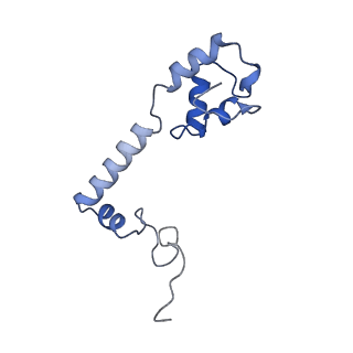 26633_7unu_m_v1-0
Pseudomonas aeruginosa 70S ribosome initiation complex bound to compact IF2-GDP (composite structure I-B)