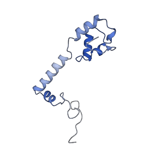 26633_7unu_m_v1-1
Pseudomonas aeruginosa 70S ribosome initiation complex bound to compact IF2-GDP (composite structure I-B)