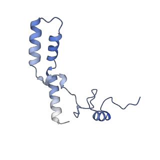 26633_7unu_n_v1-0
Pseudomonas aeruginosa 70S ribosome initiation complex bound to compact IF2-GDP (composite structure I-B)