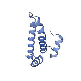 26633_7unu_o_v1-0
Pseudomonas aeruginosa 70S ribosome initiation complex bound to compact IF2-GDP (composite structure I-B)