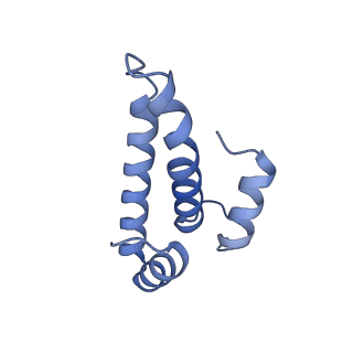 26633_7unu_o_v1-1
Pseudomonas aeruginosa 70S ribosome initiation complex bound to compact IF2-GDP (composite structure I-B)