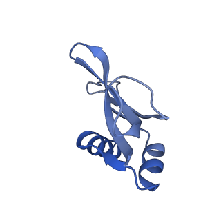 26633_7unu_p_v1-0
Pseudomonas aeruginosa 70S ribosome initiation complex bound to compact IF2-GDP (composite structure I-B)