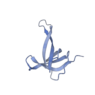 26633_7unu_q_v1-0
Pseudomonas aeruginosa 70S ribosome initiation complex bound to compact IF2-GDP (composite structure I-B)