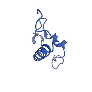 26633_7unu_r_v1-0
Pseudomonas aeruginosa 70S ribosome initiation complex bound to compact IF2-GDP (composite structure I-B)