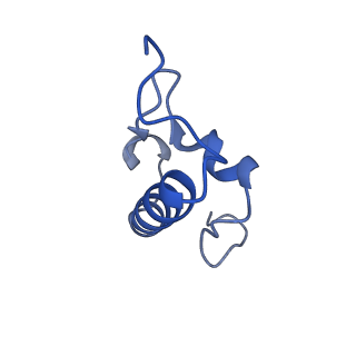 26633_7unu_r_v1-1
Pseudomonas aeruginosa 70S ribosome initiation complex bound to compact IF2-GDP (composite structure I-B)