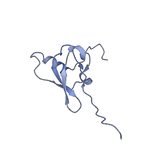 26633_7unu_s_v1-0
Pseudomonas aeruginosa 70S ribosome initiation complex bound to compact IF2-GDP (composite structure I-B)