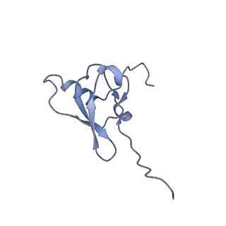 26633_7unu_s_v1-1
Pseudomonas aeruginosa 70S ribosome initiation complex bound to compact IF2-GDP (composite structure I-B)