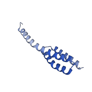 26633_7unu_t_v1-0
Pseudomonas aeruginosa 70S ribosome initiation complex bound to compact IF2-GDP (composite structure I-B)