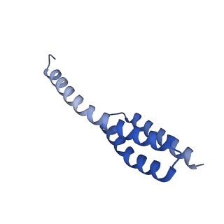 26633_7unu_t_v1-1
Pseudomonas aeruginosa 70S ribosome initiation complex bound to compact IF2-GDP (composite structure I-B)