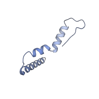 26633_7unu_u_v1-0
Pseudomonas aeruginosa 70S ribosome initiation complex bound to compact IF2-GDP (composite structure I-B)