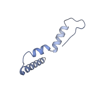 26633_7unu_u_v1-1
Pseudomonas aeruginosa 70S ribosome initiation complex bound to compact IF2-GDP (composite structure I-B)