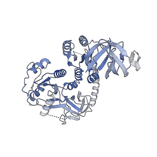 26633_7unu_x_v1-0
Pseudomonas aeruginosa 70S ribosome initiation complex bound to compact IF2-GDP (composite structure I-B)