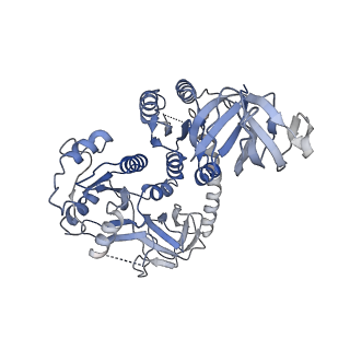 26633_7unu_x_v1-1
Pseudomonas aeruginosa 70S ribosome initiation complex bound to compact IF2-GDP (composite structure I-B)